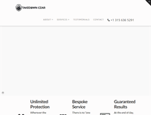 Tablet Screenshot of dmcatakedownczar.com